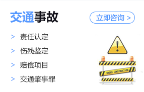 法议网专业律师团队业务领域之交通事故