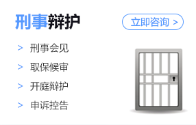 法议网专业律师团队业务领域之刑事辩护